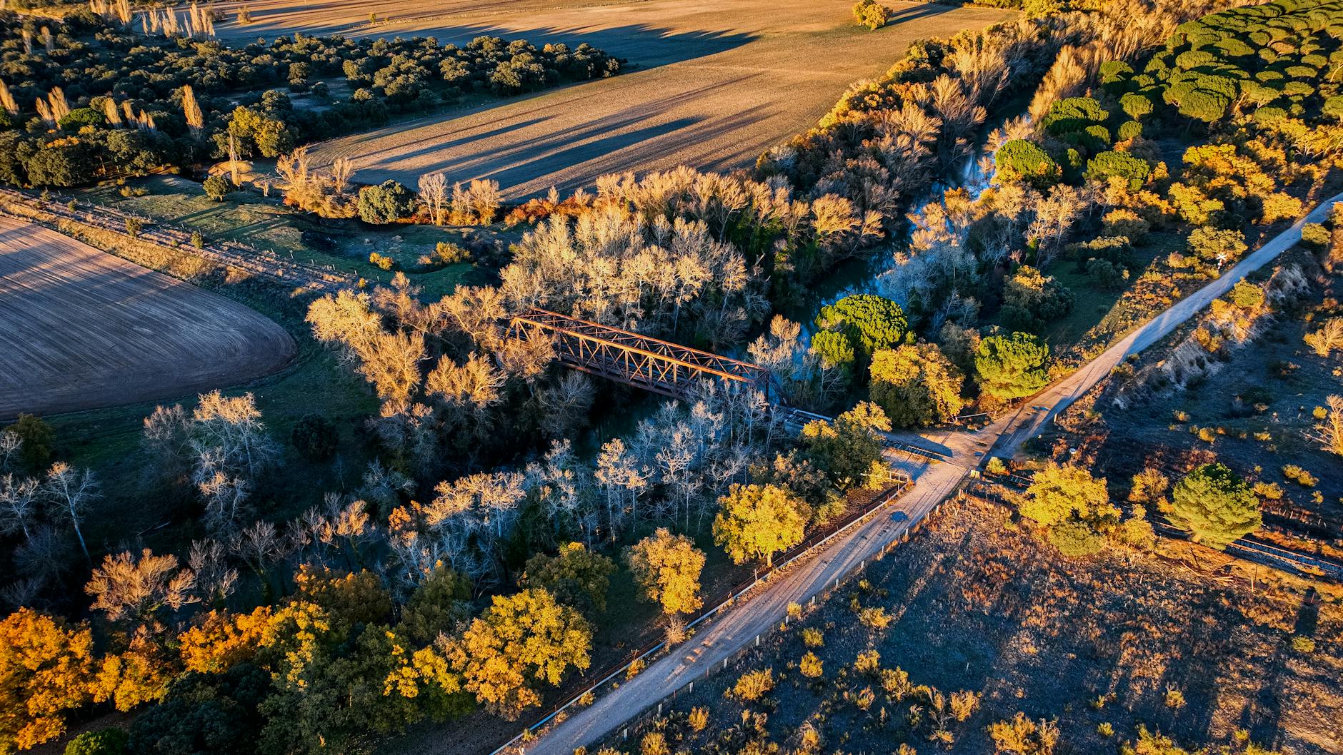 Captivating aerial view of a rustic bridge surrounded by autumn trees in Valladolid, Spain at sunset.