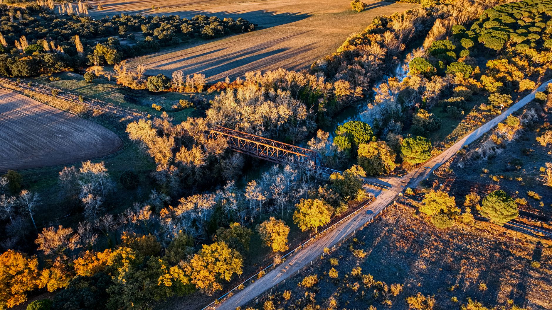 Captivating aerial view of a rustic bridge surrounded by autumn trees in Valladolid, Spain at sunset.